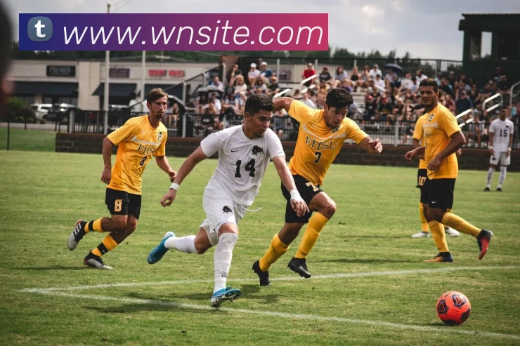 多媒体互动体验